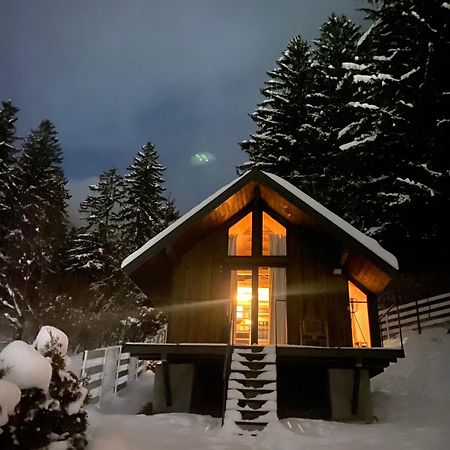 Bramble Tiny House Villa Zărneşti Exterior foto