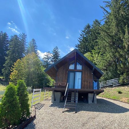 Bramble Tiny House Villa Zărneşti Exterior foto