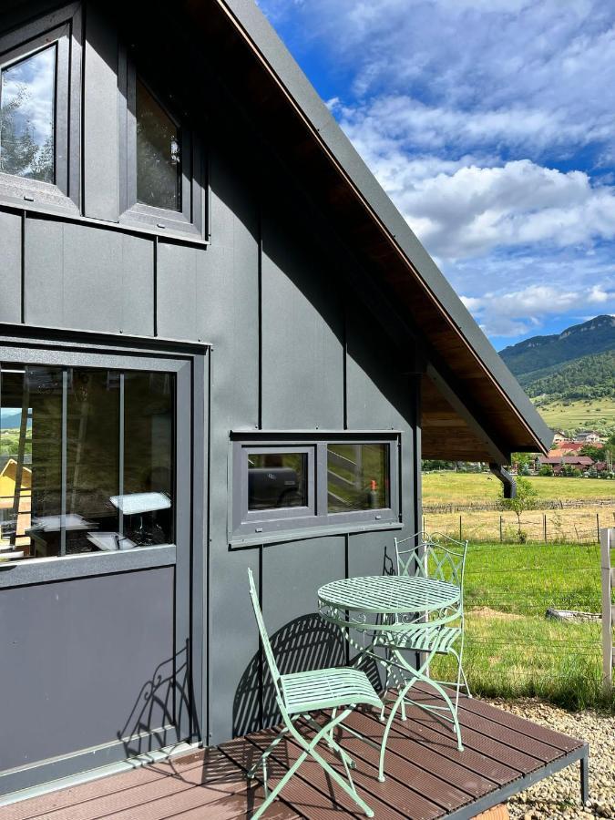 Bramble Tiny House Villa Zărneşti Exterior foto