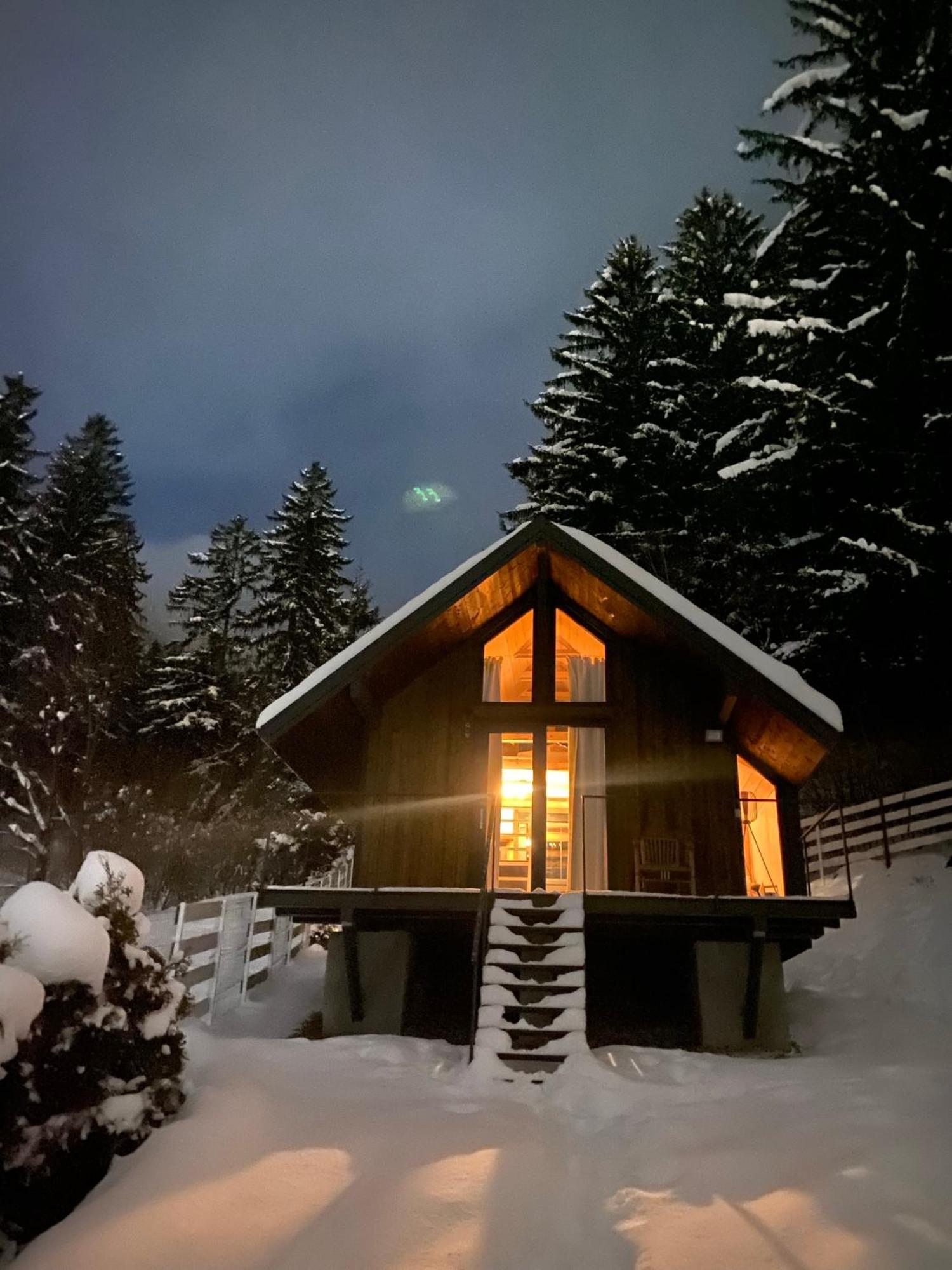 Bramble Tiny House Villa Zărneşti Exterior foto
